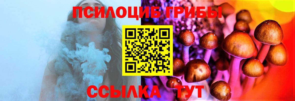 Галлюциногенные грибы Cubensis Георгиевск